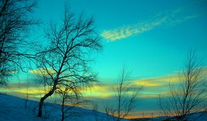 Preview wallpaper march, winter, snow, frost, nature, cold, evening, february, sky, blue