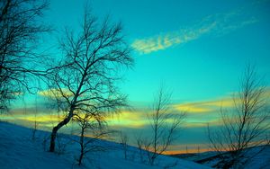 Preview wallpaper march, winter, snow, frost, nature, cold, evening, february, sky, blue