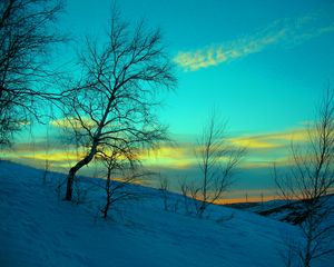 Preview wallpaper march, winter, snow, frost, nature, cold, evening, february, sky, blue