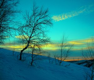 Preview wallpaper march, winter, snow, frost, nature, cold, evening, february, sky, blue