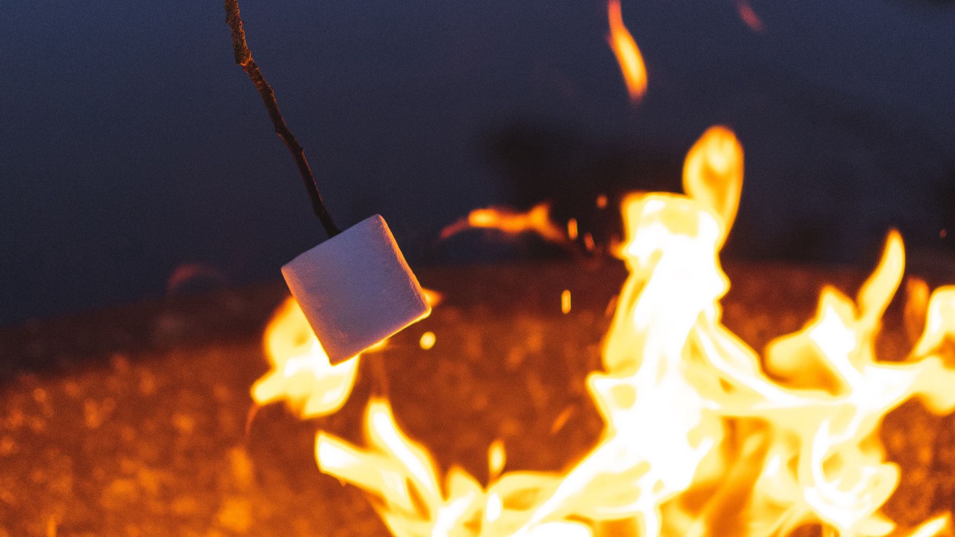 1920x1080 Wallpaper marshmallow, bonfire, camping, evening