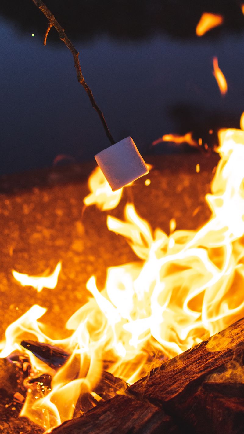 800x1420 Wallpaper marshmallow, bonfire, camping, evening