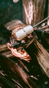Preview wallpaper marshmallows, bonfire, camping, firewood, fire