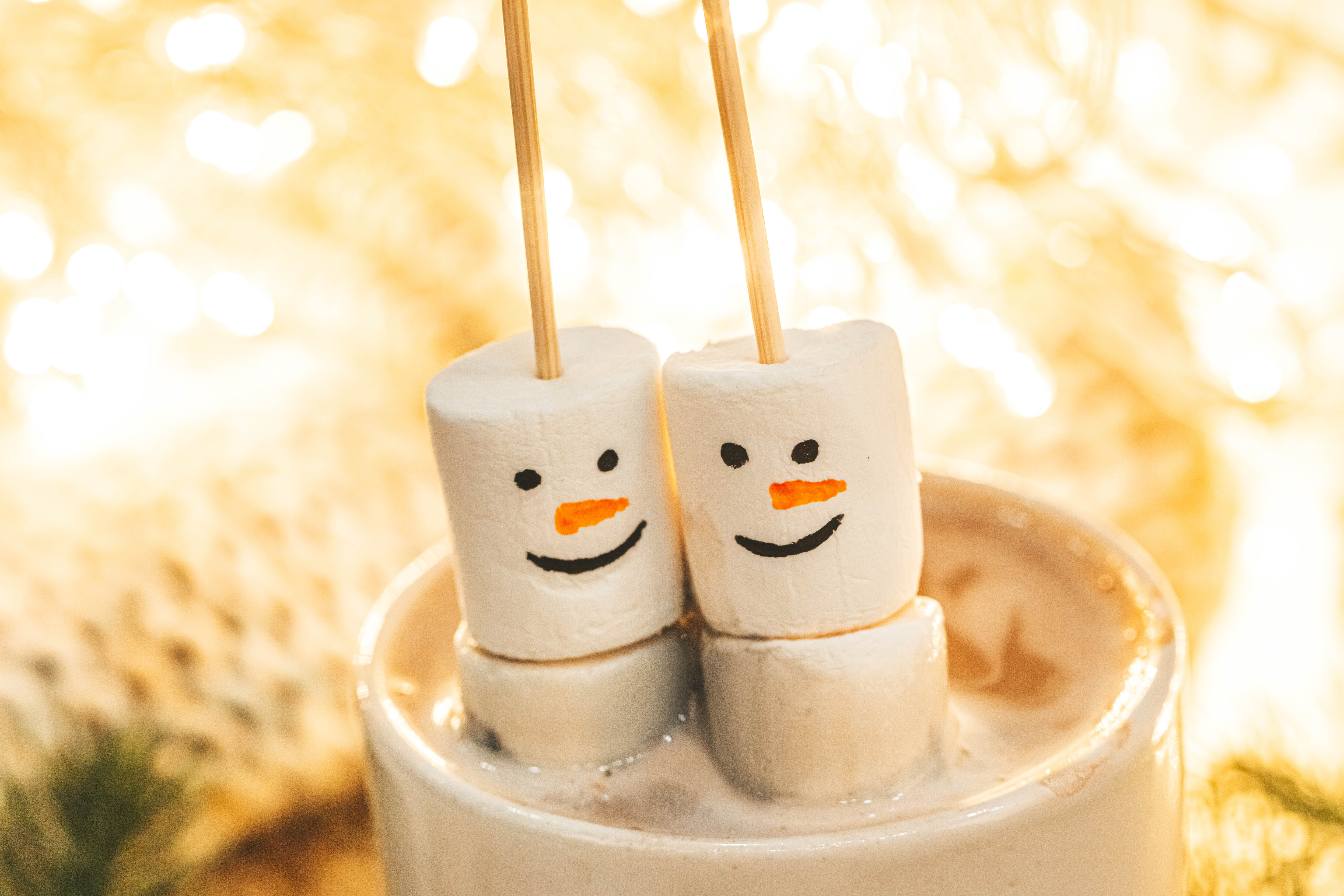 Marshmallows on a Stick