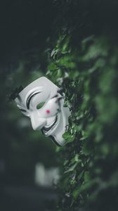 Preview wallpaper mask, bushes, leaves, plant