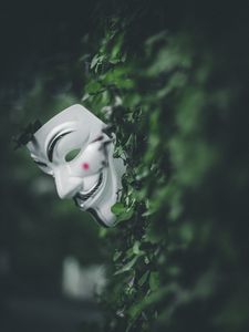 Preview wallpaper mask, bushes, leaves, plant