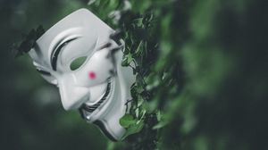 Preview wallpaper mask, bushes, leaves, plant