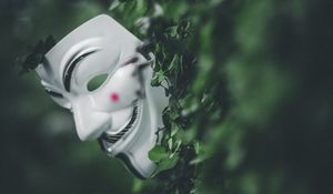 Preview wallpaper mask, bushes, leaves, plant