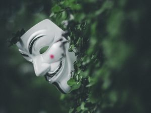 Preview wallpaper mask, bushes, leaves, plant