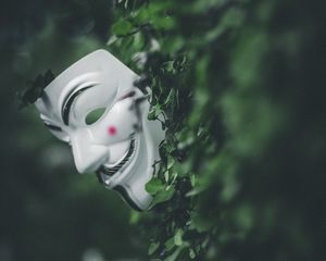 Preview wallpaper mask, bushes, leaves, plant