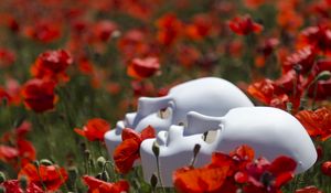 Preview wallpaper mask, flowers, poppies