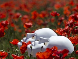 Preview wallpaper mask, flowers, poppies