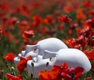 Preview wallpaper mask, flowers, poppies