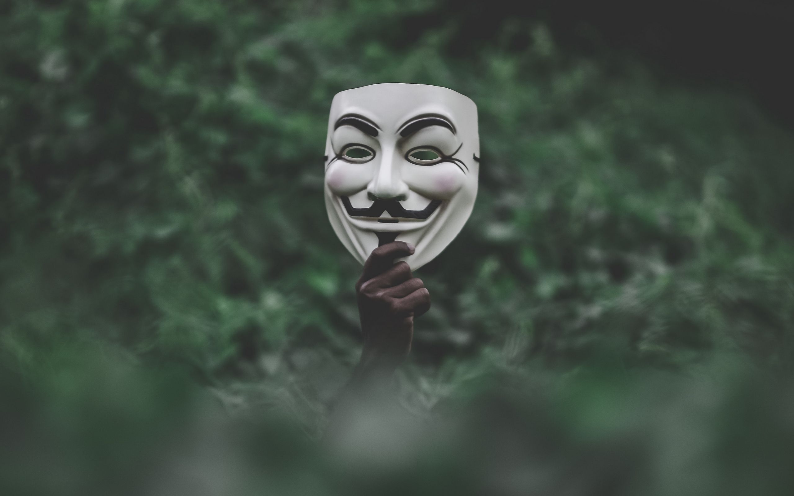 Download Wallpaper 2560x1600 Mask Hand Anonymous Grass Widescreen 16 