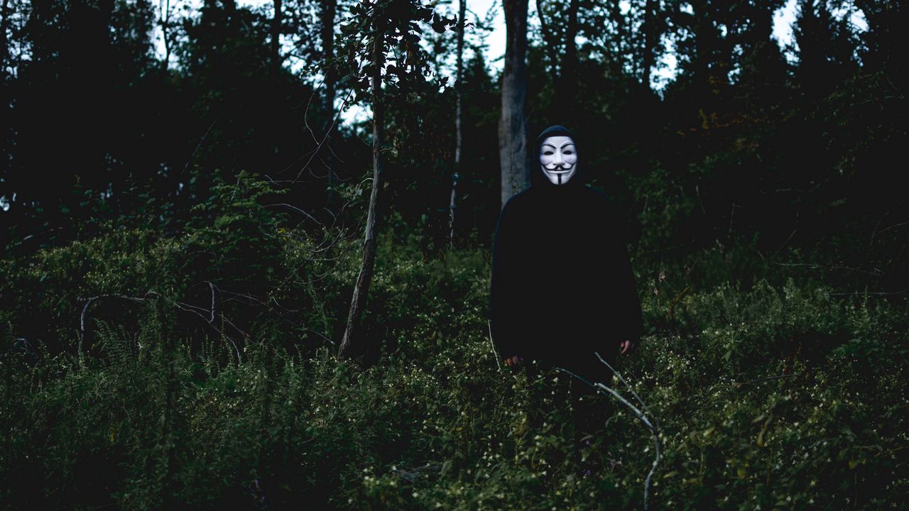 Wallpaper mask, man, forest, anonymous
