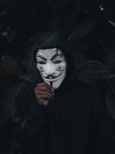 Preview wallpaper mask, person, anonymous