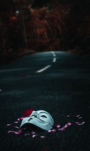 Preview wallpaper mask, road, petals