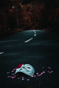 Preview wallpaper mask, road, petals