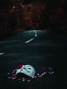 Preview wallpaper mask, road, petals