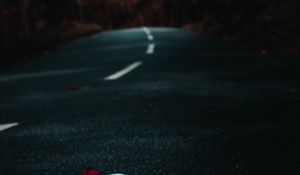 Preview wallpaper mask, road, petals