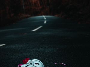 Preview wallpaper mask, road, petals