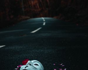 Preview wallpaper mask, road, petals