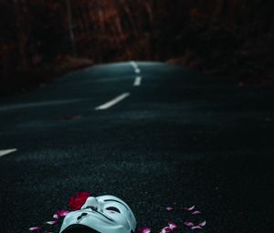 Preview wallpaper mask, road, petals