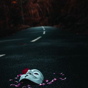 Preview wallpaper mask, road, petals