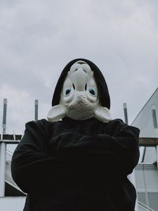 Preview wallpaper mask, sheep, hood, hoodie, black