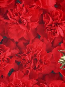 Preview wallpaper may 9, holiday, victory, cloves, st george ribbon, memory, star
