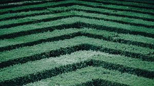 Preview wallpaper maze, bushes, stripes, leaves, green