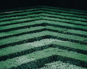 Preview wallpaper maze, bushes, stripes, leaves, green