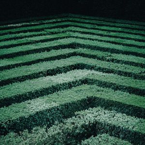 Preview wallpaper maze, bushes, stripes, leaves, green