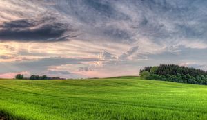 Preview wallpaper meadow, clouds, sky, volume, cloudy, wood, field, breadth