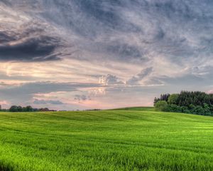 Preview wallpaper meadow, clouds, sky, volume, cloudy, wood, field, breadth