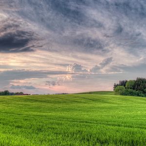 Preview wallpaper meadow, clouds, sky, volume, cloudy, wood, field, breadth