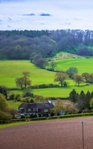 Preview wallpaper meadow, field, landscape, houses, nature