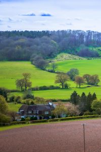 Preview wallpaper meadow, field, landscape, houses, nature