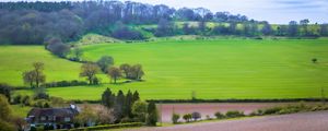 Preview wallpaper meadow, field, landscape, houses, nature