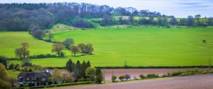 Preview wallpaper meadow, field, landscape, houses, nature