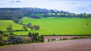 Preview wallpaper meadow, field, landscape, houses, nature