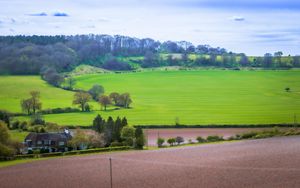 Preview wallpaper meadow, field, landscape, houses, nature