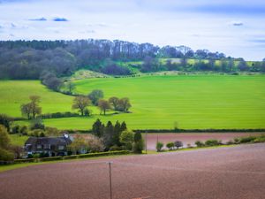 Preview wallpaper meadow, field, landscape, houses, nature