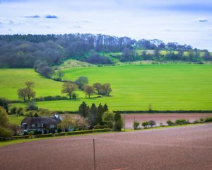 Preview wallpaper meadow, field, landscape, houses, nature