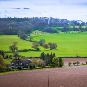 Preview wallpaper meadow, field, landscape, houses, nature