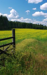 Preview wallpaper meadow, flowers, clouds, gate, protection, green