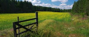 Preview wallpaper meadow, flowers, clouds, gate, protection, green