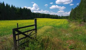 Preview wallpaper meadow, flowers, clouds, gate, protection, green