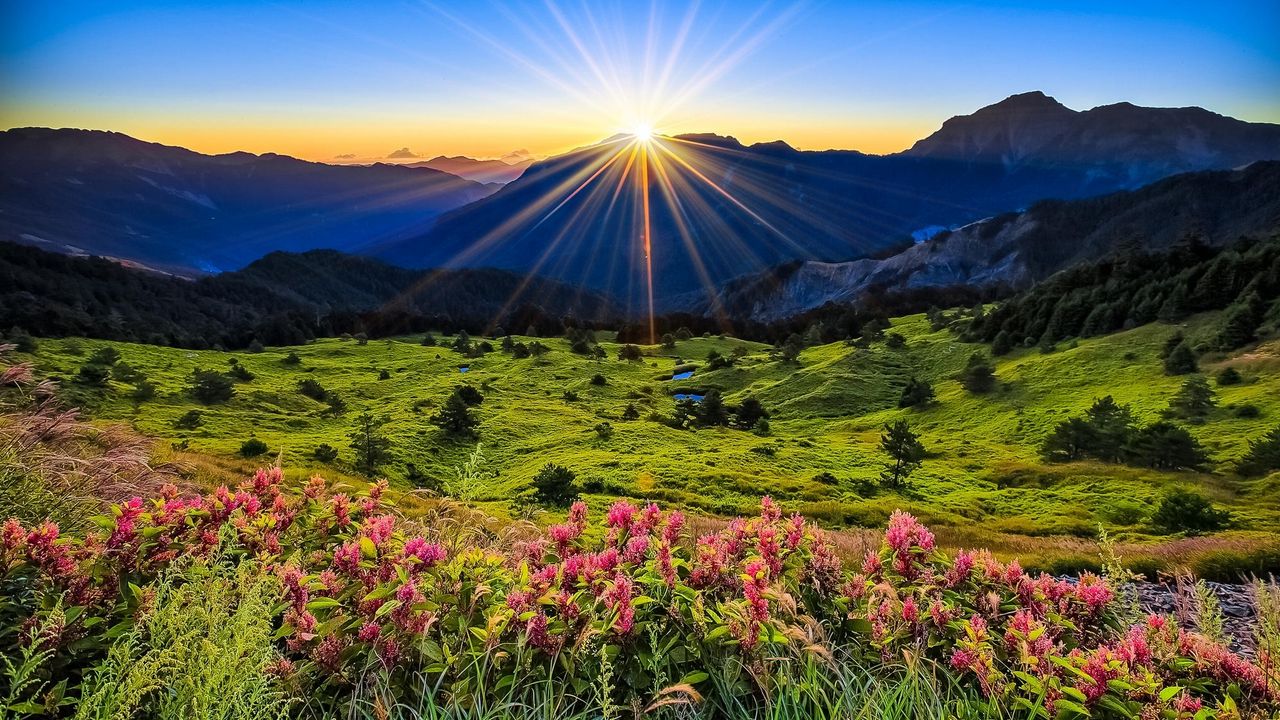 Wallpaper meadow, flowers, mountains, grass, dawn