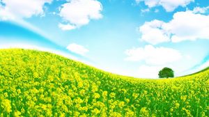 Preview wallpaper meadow, flowers, slope, tree, colors